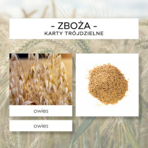 Zboża - karty trójdzielne 18 szt.
