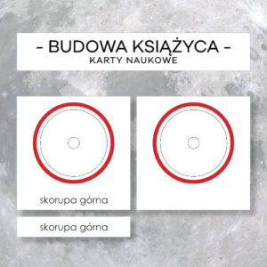 Budowa Księżyca - karty naukowe 5 szt.