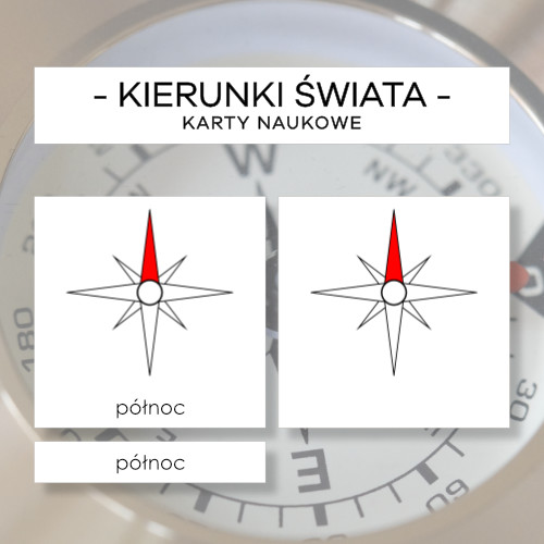 Kierunki świata- karty naukowe 9 szt.