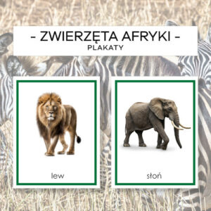 Zwierzęta Afryki – plakaty A4