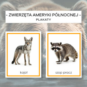 Zwierzęta Ameryki Północnej – plakaty A4