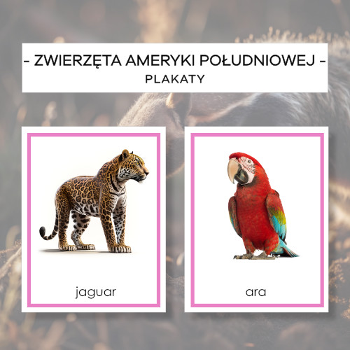 Zwierzęta Ameryki Południowej – plakaty A4