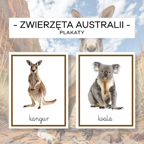 Zwierzęta Australii – plakaty A4 - obrazek 2