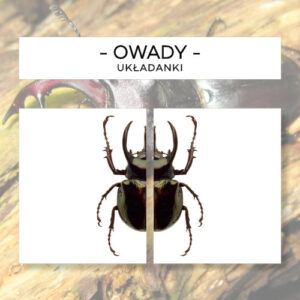 Owady - puzzle 20 szt.