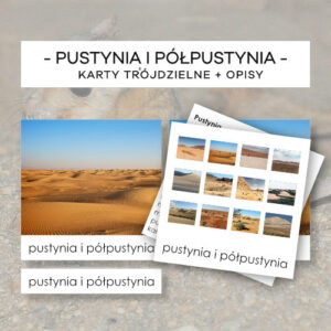 Biomy - pustynia i półpustynia - karty trójdzielne 37 szt. + opisy