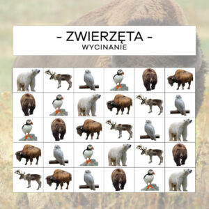 Zwierzęta Ameryki Północnej - wycinanie
