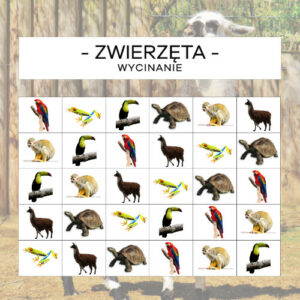 Zwierzęta Ameryki Południowej - wycinanie