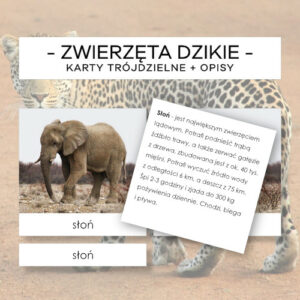 Zwierzęta dzikie - karty trójdzielne 5 szt. + opisy