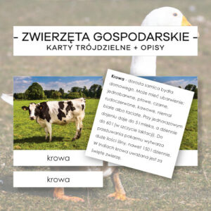 Zwierzęta gospodarskie - karty trójdzielne 5 szt. + opisy