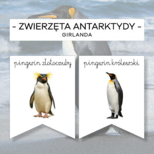 Zwierzęta Antarktydy - girlanda z podpisem