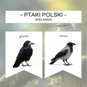 Ptaki Polski - girlanda z podpisem