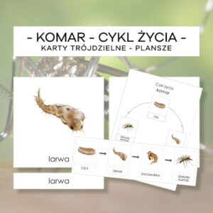Cykl życia komara - karty trójdzielne 4 szt. + plansze 2 szt.