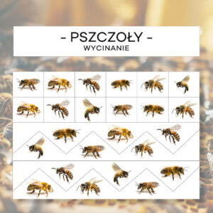 Pszczoły - wycinanie
