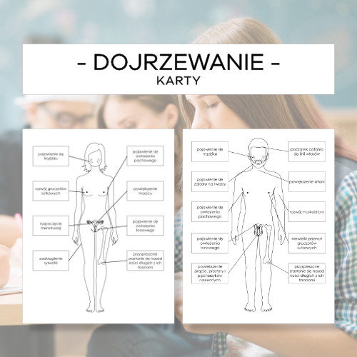 Dojrzewanie Karty Materia y Montessori Karty Tr jdzielne Karty 