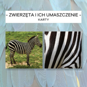 Zwierzęta i ich umaszczenie - karty 25 szt.
