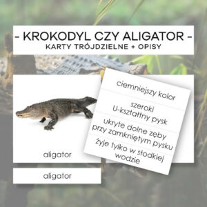 Krokodyl czy aligator - karty trójdzielne 2 szt. + opisy