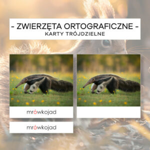 Zwierzęta ortograficzne - karty trójdzielne 36 szt.