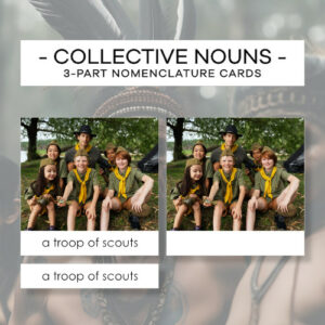 Collective nouns - people - karty trójdzielne 24 szt.