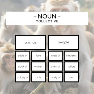 Noun - collective
