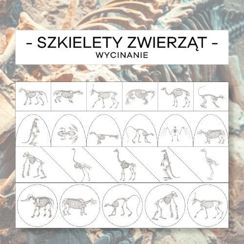 Szkielety zwierząt cz. 2 - wycinanie