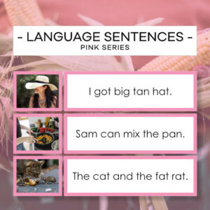 Sentences 2 - Pink Language Series