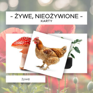 Żywe, nieożywione, obumarłe - karty 30 szt.