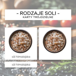 Rodzaje soli - karty trójdzielne 12 szt.