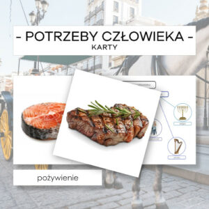 Fundamentalne potrzeby człowieka - karty 87 szt.