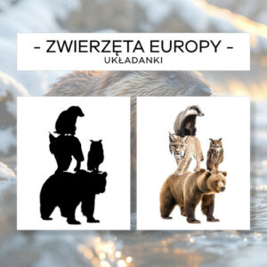 Cienie zwierząt Europy - układanki