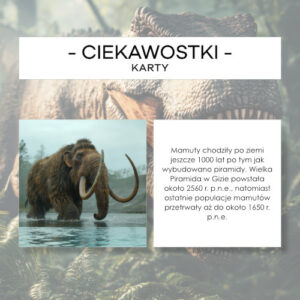 Ciekawostki cz. 4 - karty
