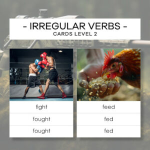 Irregular verbs - level 2