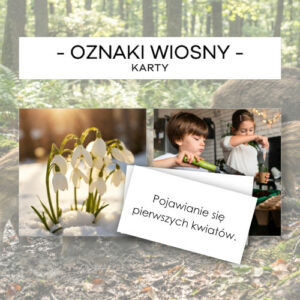 Oznaki wiosny - karty 24 szt.