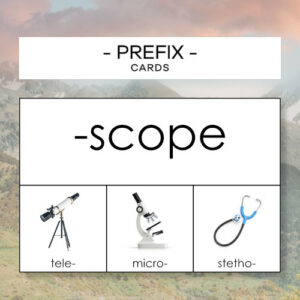 Prefix 1 – karty