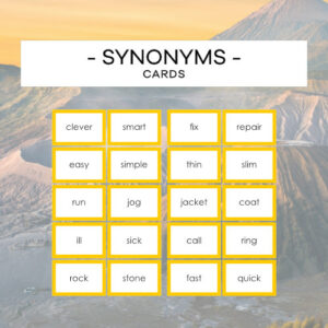 Synonyms