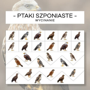 Ptaki szponiaste - wycinanie