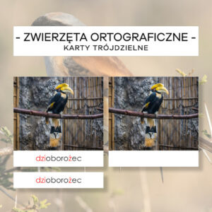 Zwierzęta ortograficzne cz. 2 - karty trójdzielne 36 szt.