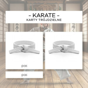 Karate - karty trójdzielne 9 szt.
