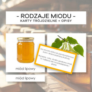 Rodzaje miodu - karty trójdzielne 12 szt. + opisy