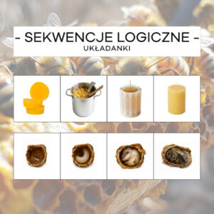 Sekwencje logiczne pszczele - układanka