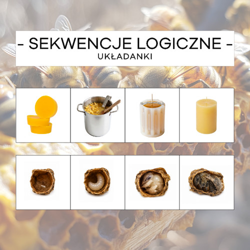 Sekwencje logiczne pszczele - układanka