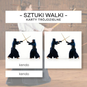 Sztuki walki - karty trójdzielne 12 szt.
