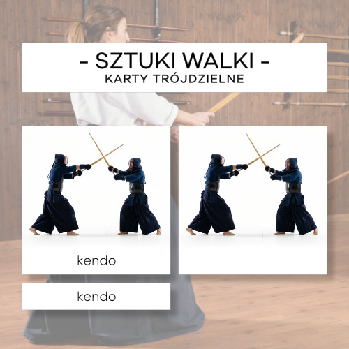 Sztuki walki - karty trójdzielne 12 szt.