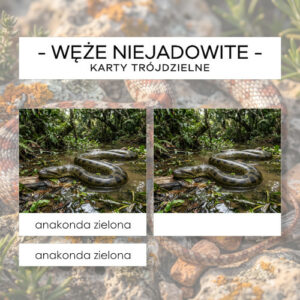 Węże niejadowite - karty trójdzielne 20 szt.