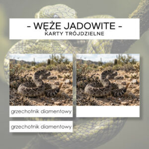 Węże jadowite - karty trójdzielne 24 szt.