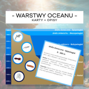 Warstwy oceanu + zwierzęta