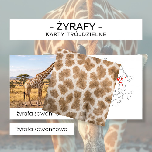 Żyrafy - karty trójdzielne 4 szt.