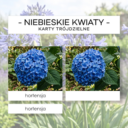 Niebieskie kwiaty - karty trójdzielne 24 szt.