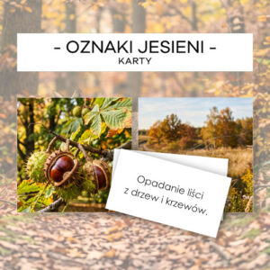 Oznaki jesieni - karty 24 szt.