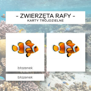 Zwierzęta rafy koralowej - karty trójdzielne 24 szt.
